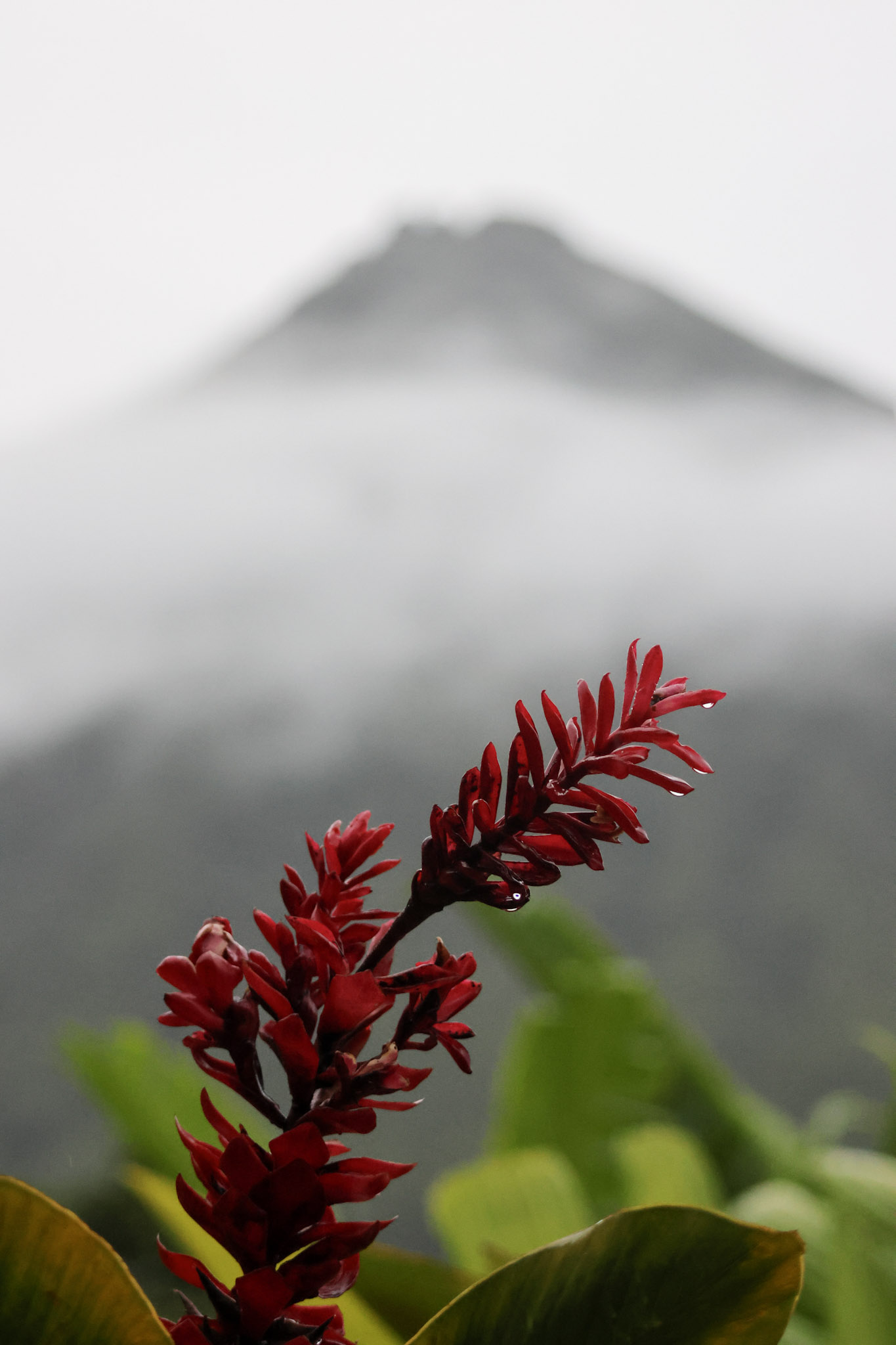 Things to do in La Fortuna | Exploring Arenal - - The Girl On The Move