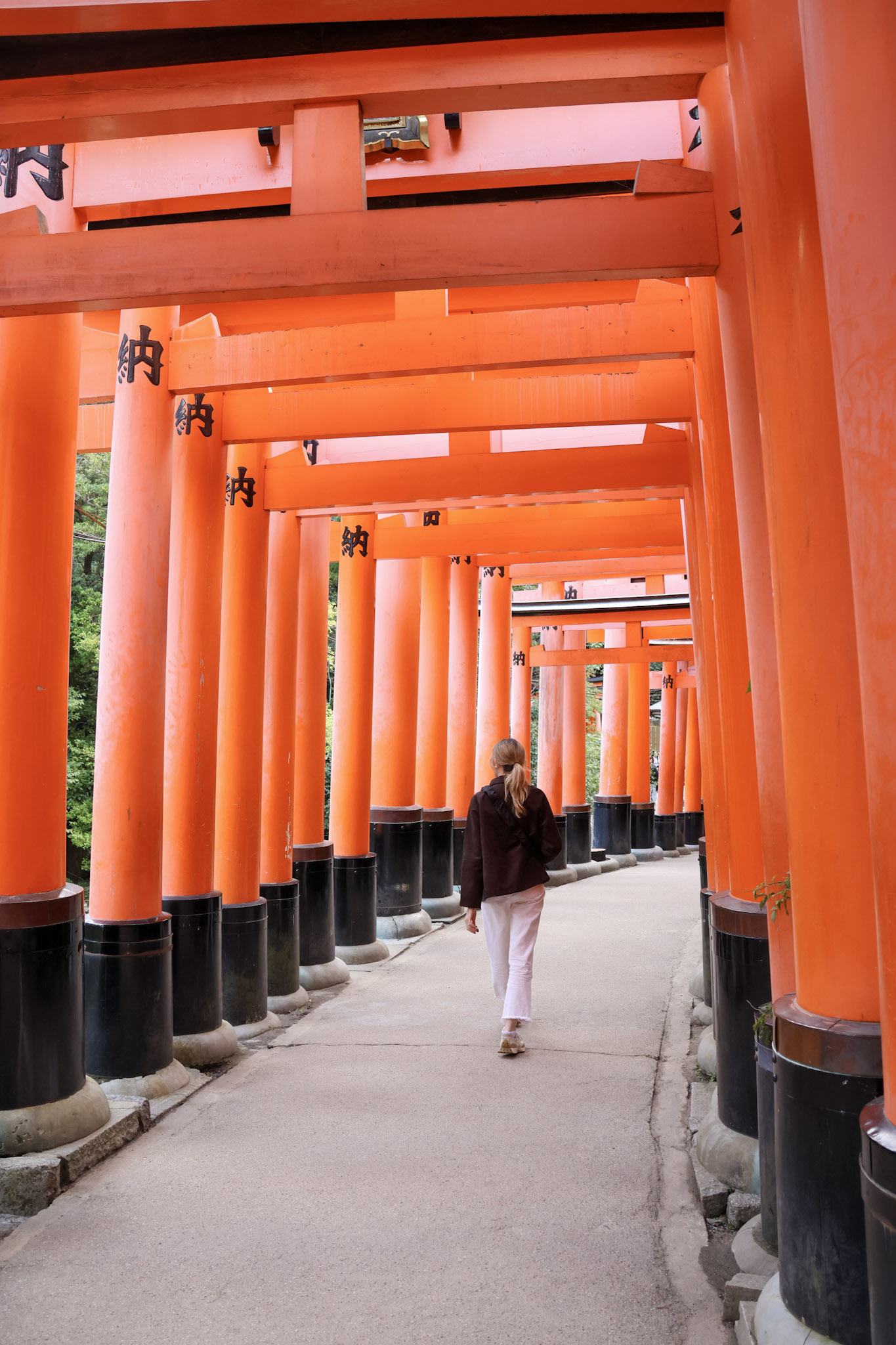 Top Things to Do in Kyoto for First-Time Visitors | Your Ultimate Guide
