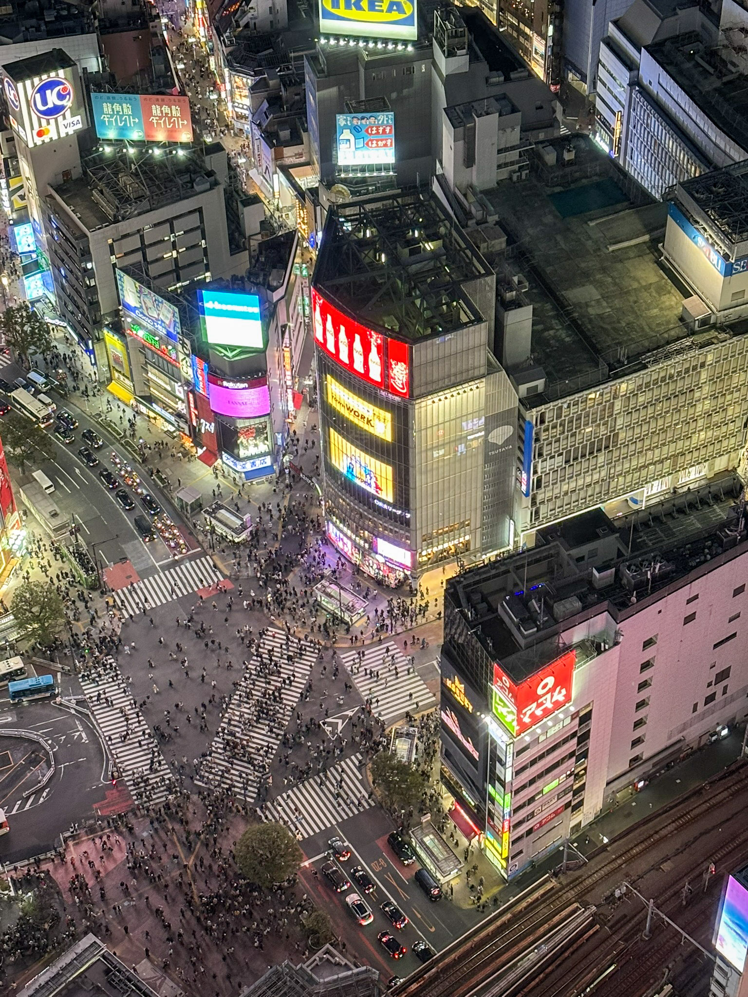 Best Things to Do in Tokyo for First-Time Visitors | Your Quick Guide